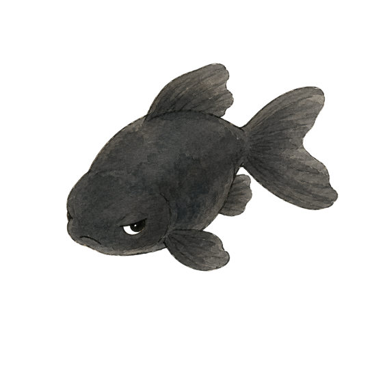 Inky, the tsundere black fish