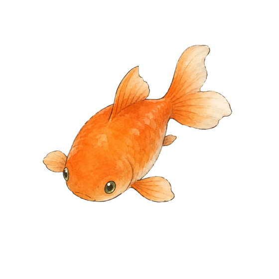 Tangerine, the cheerful orange fish